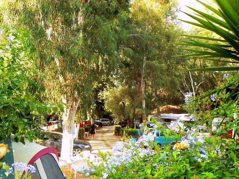 camping louisa platanias