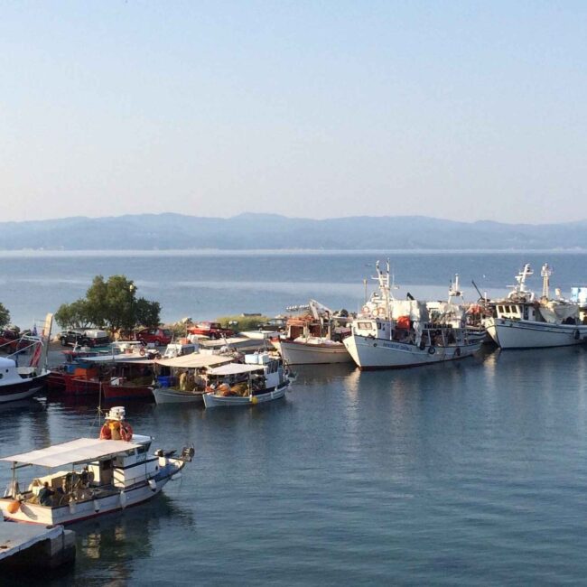 Γρηγοραυδή Σοφία – Ξενοδοχείο Κύμα