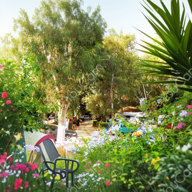 camping louisa platanias