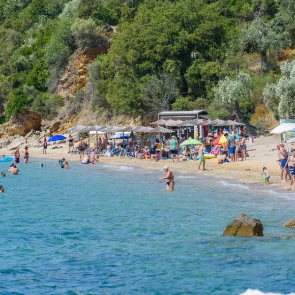 platanias pelion, volos, thessaly11